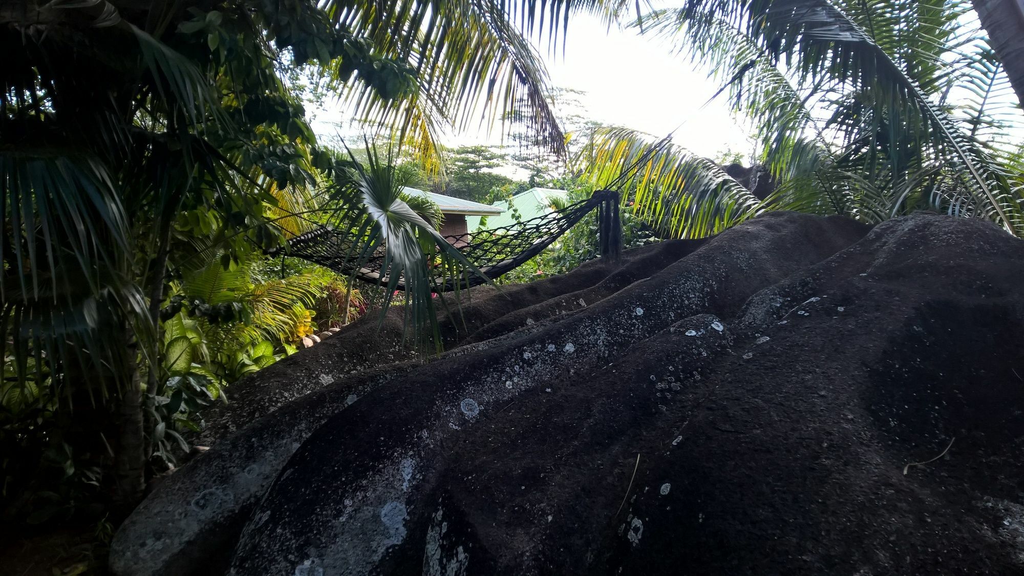 Cocotier Du Rocher La Digue Exterior foto