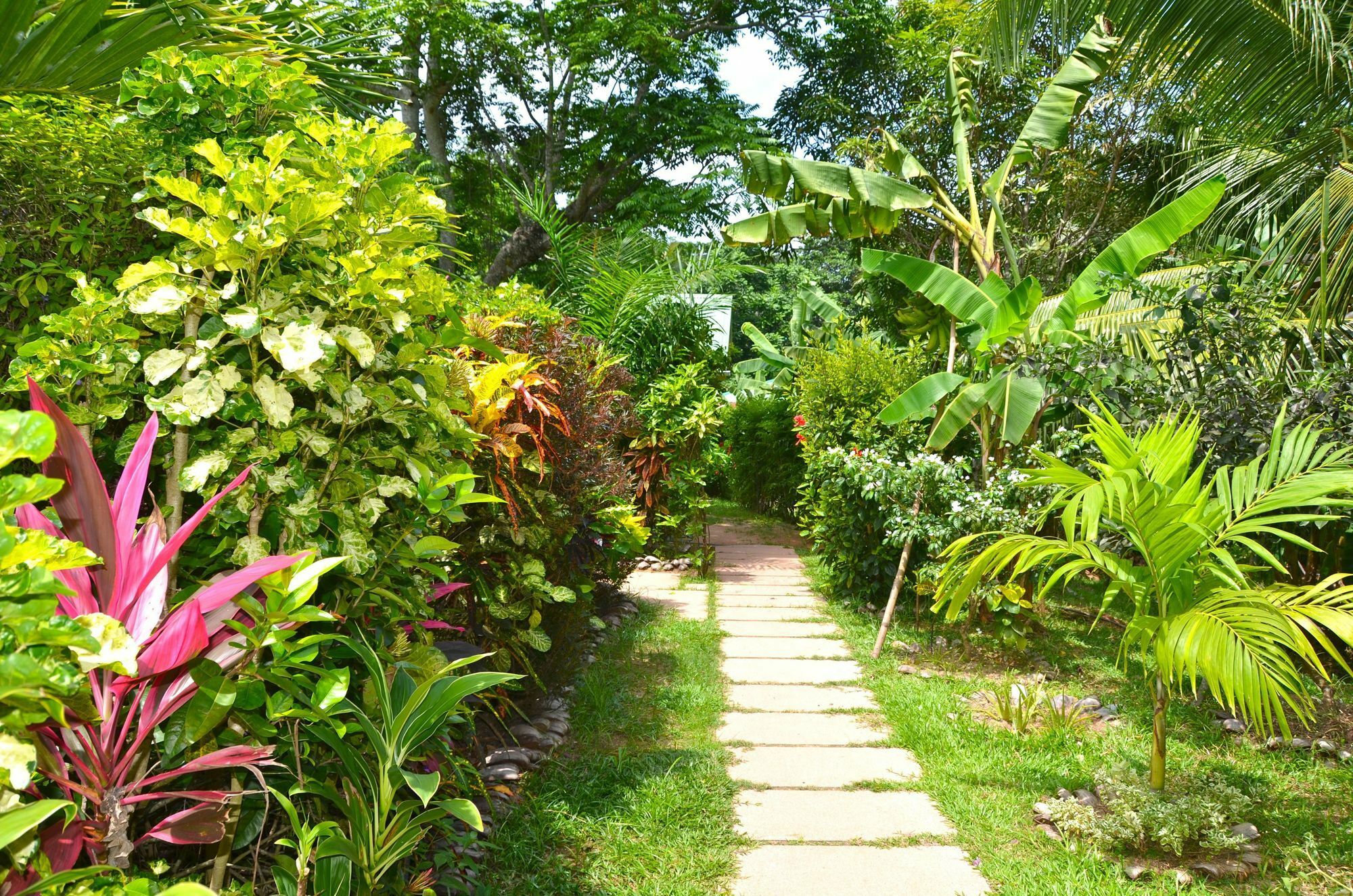 Cocotier Du Rocher La Digue Exterior foto