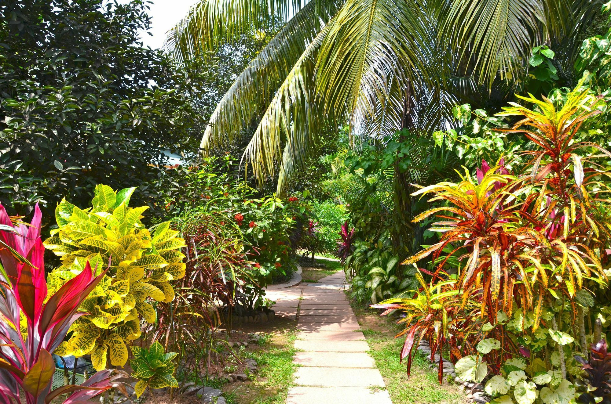 Cocotier Du Rocher La Digue Exterior foto