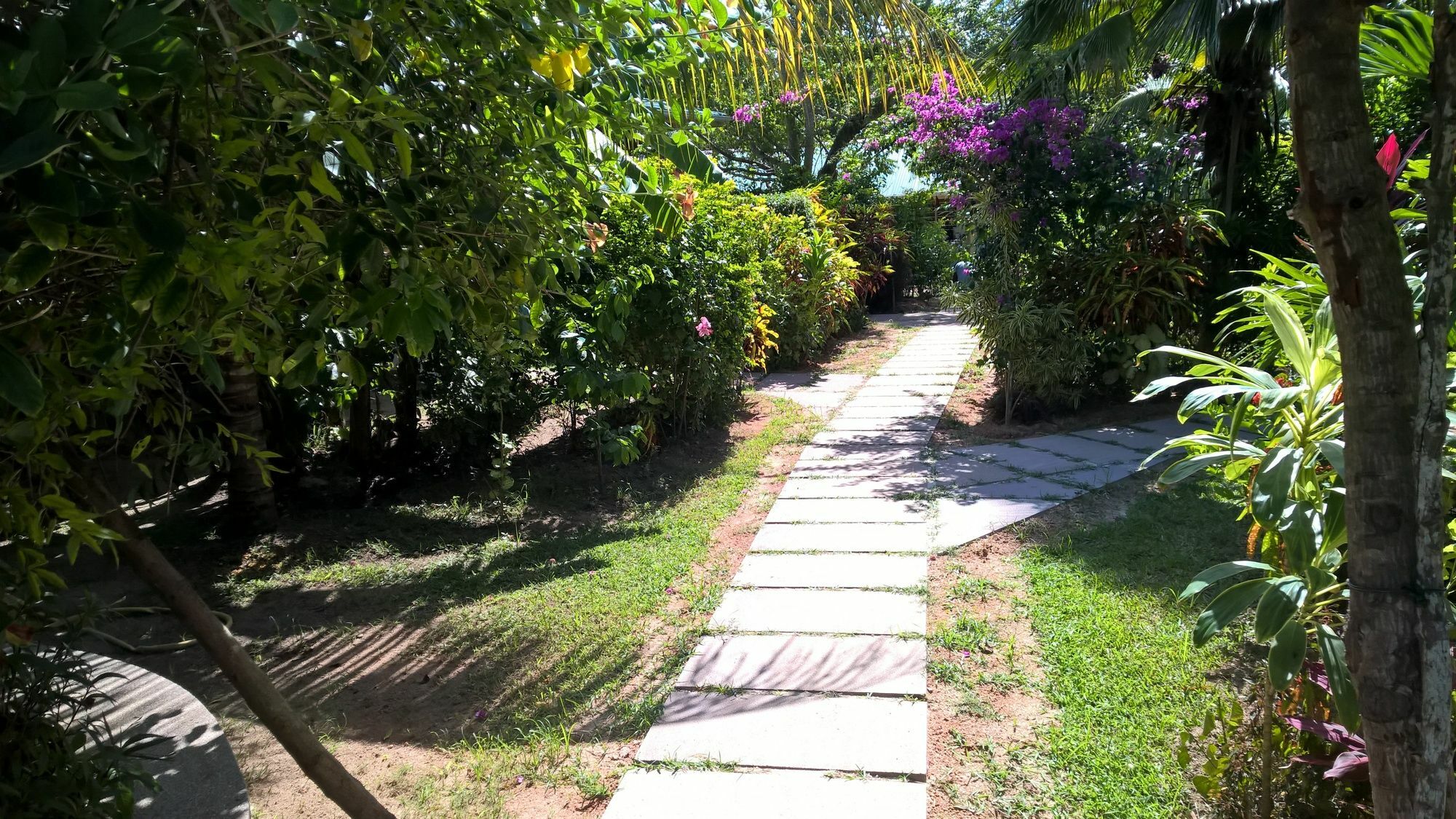 Cocotier Du Rocher La Digue Exterior foto