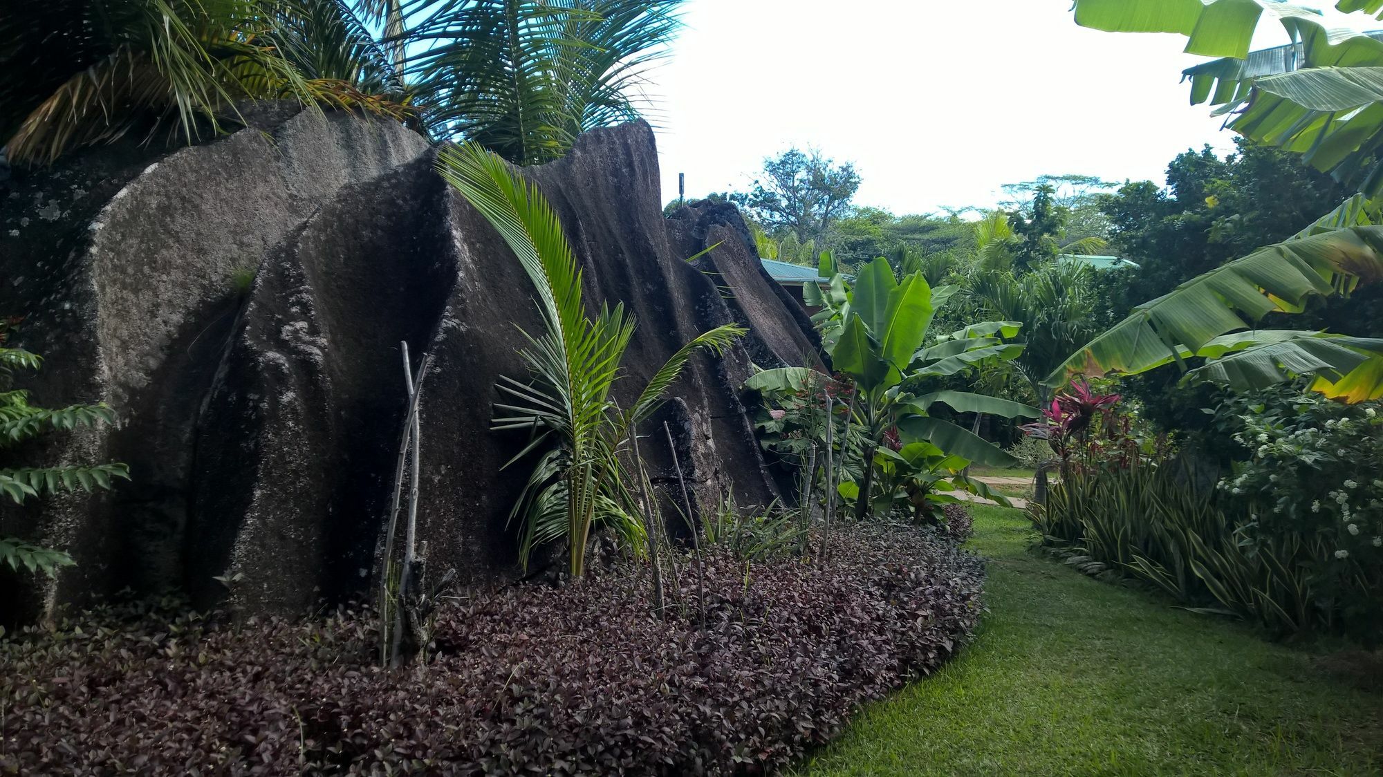 Cocotier Du Rocher La Digue Exterior foto