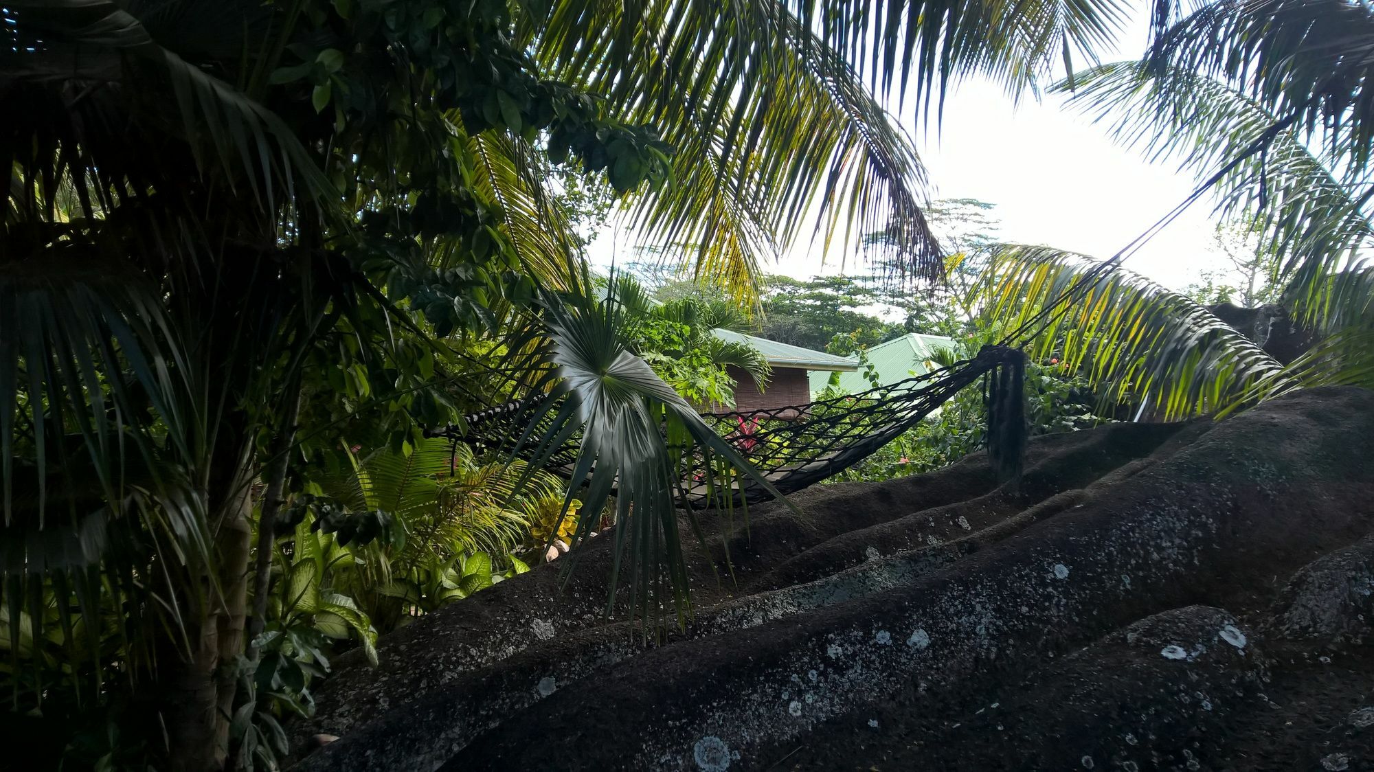 Cocotier Du Rocher La Digue Exterior foto