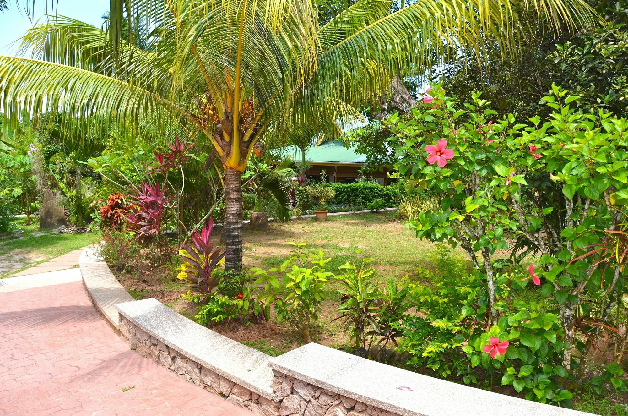 Cocotier Du Rocher La Digue Exterior foto