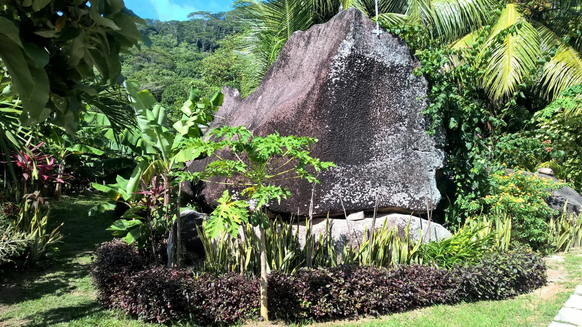 Cocotier Du Rocher La Digue Exterior foto