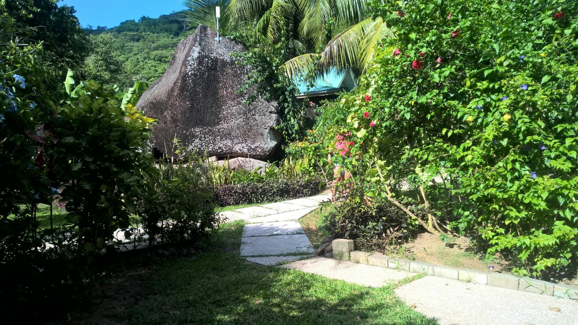 Cocotier Du Rocher La Digue Exterior foto