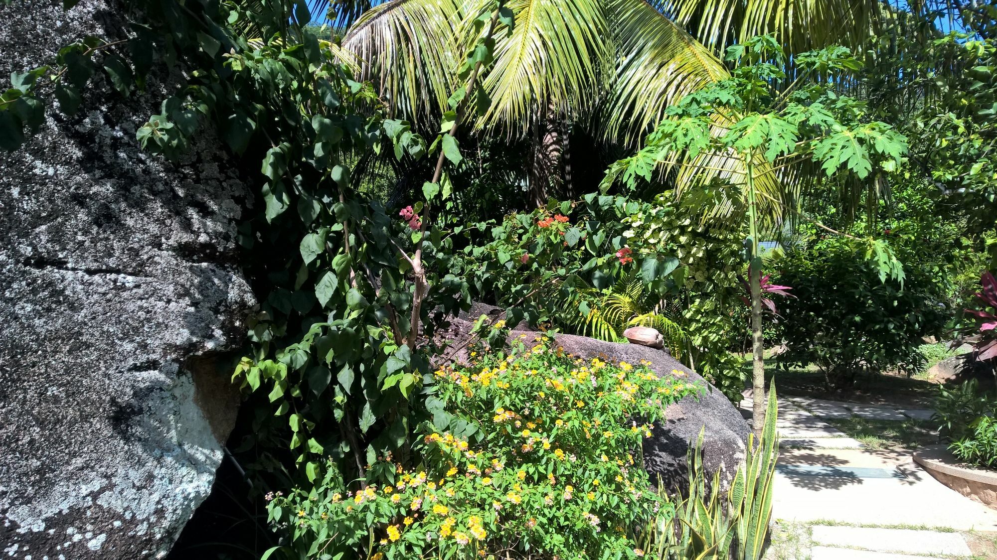 Cocotier Du Rocher La Digue Exterior foto